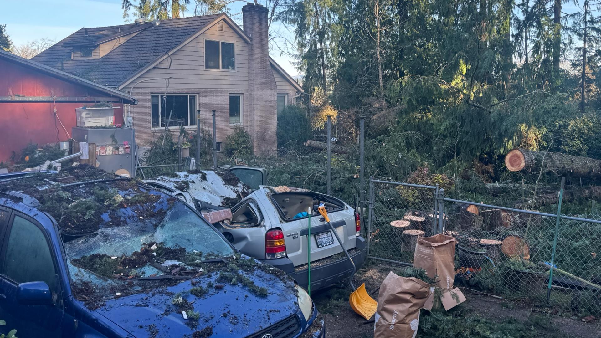 The Keeney family is still picking up the pieces after dozens of trees fell across their Bellevue property
